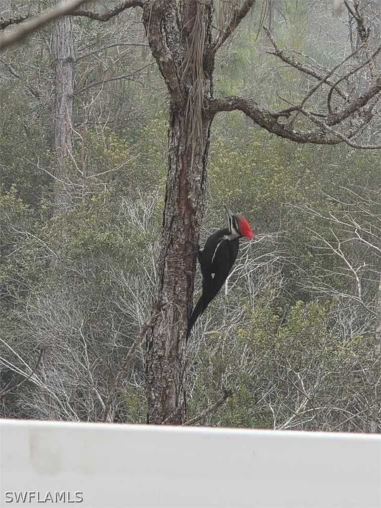 1784 Sanctuary Pointe CT