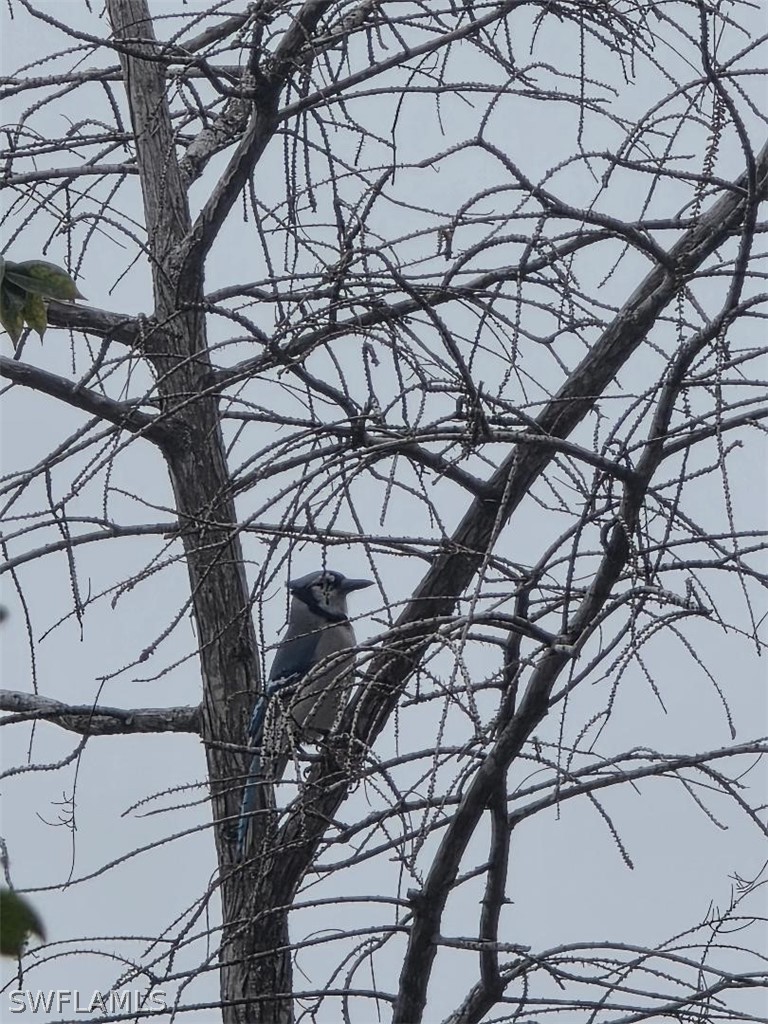 1784 Sanctuary Pointe CT