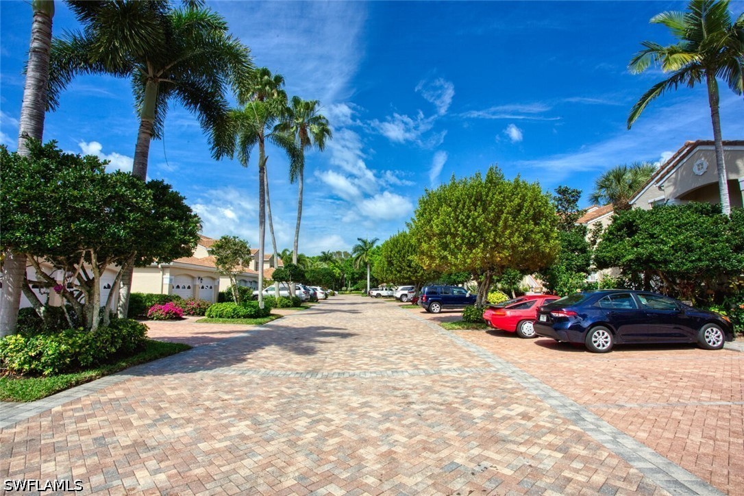 8365 Excalibur CIR K6