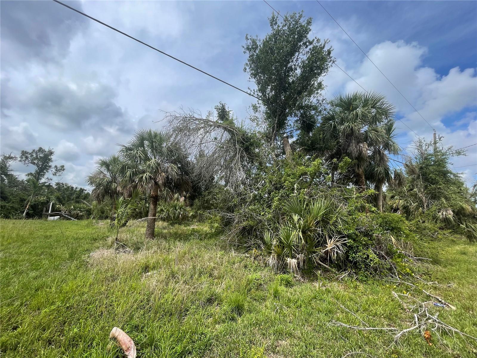 28387 ROYAL PALM DR