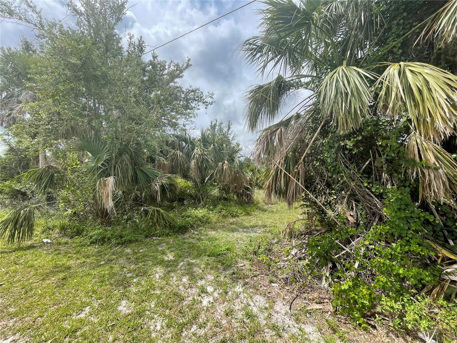 28387 ROYAL PALM DR