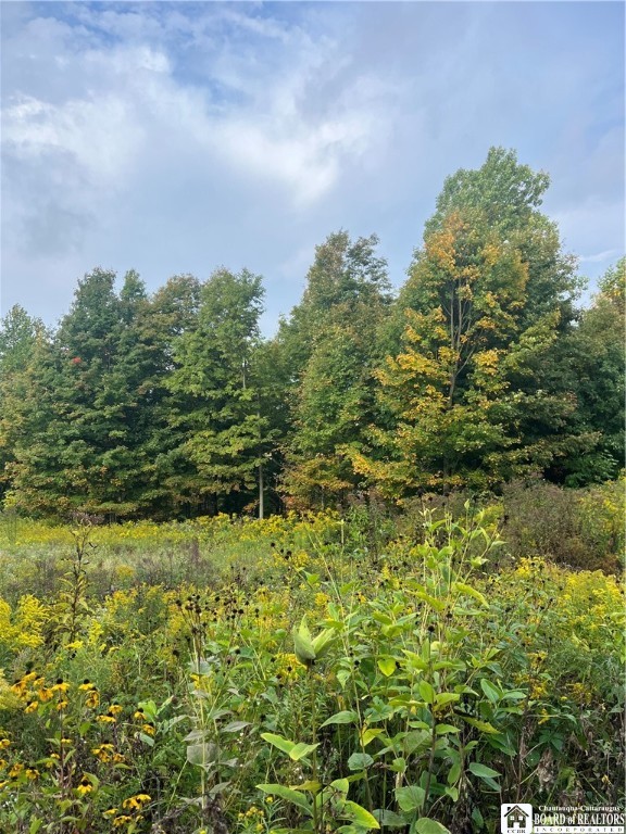 Wattlesburg Road East