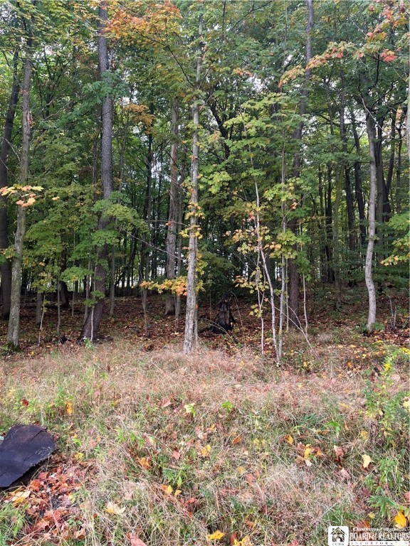 Wattlesburg Road East