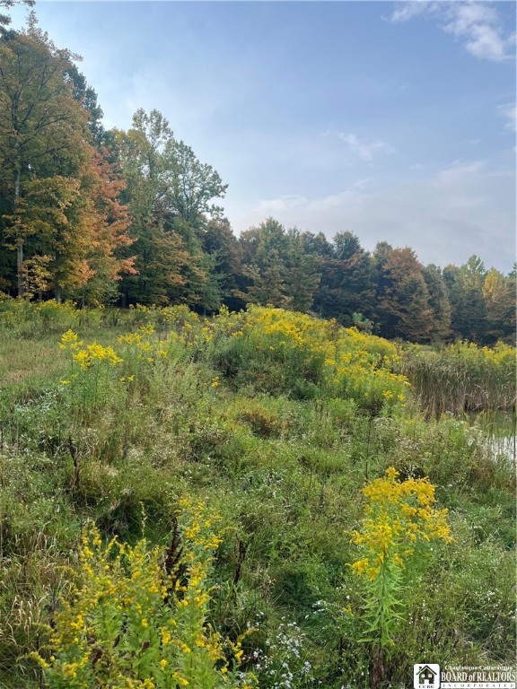 Wattlesburg Road East