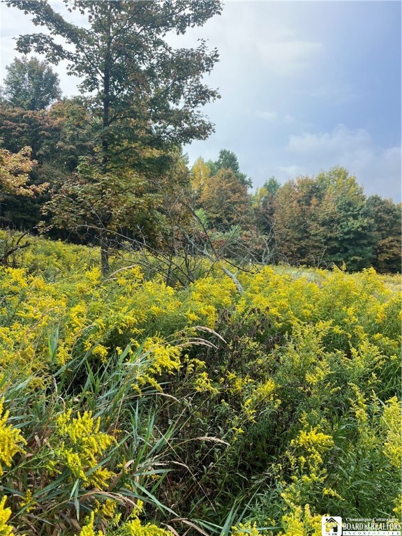 Wattlesburg Road East