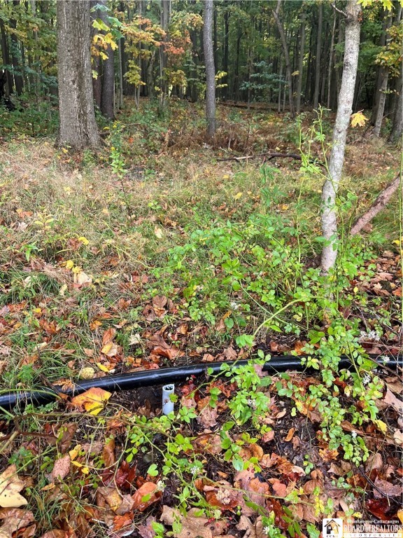 Wattlesburg Road East