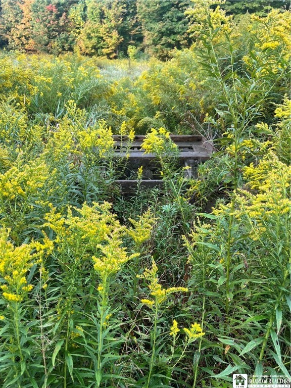 Wattlesburg Road East