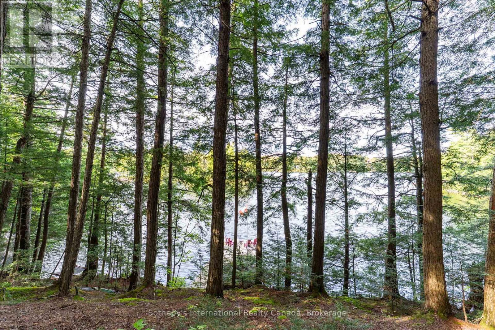 1058 TIMBER TRAIL
