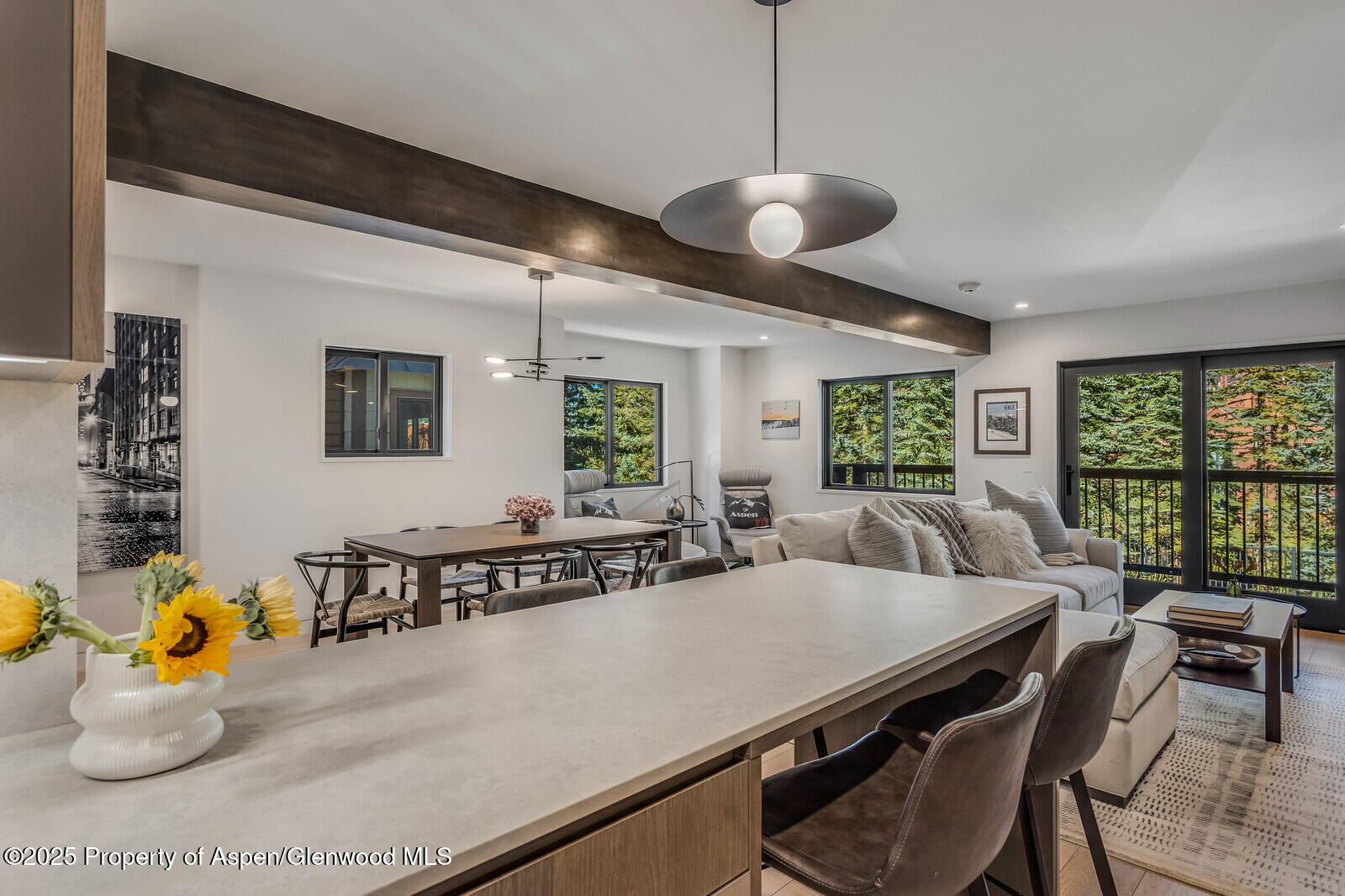 650 S Monarch Street Unit 7