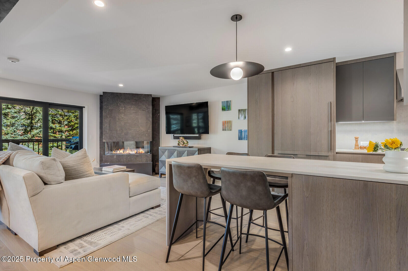 650 S Monarch Street Unit 7