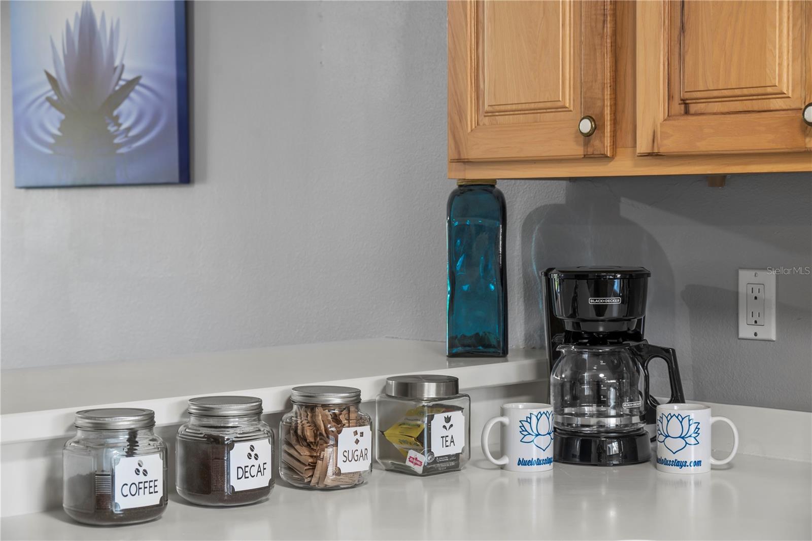 1054 LOTUS COVE CT #623