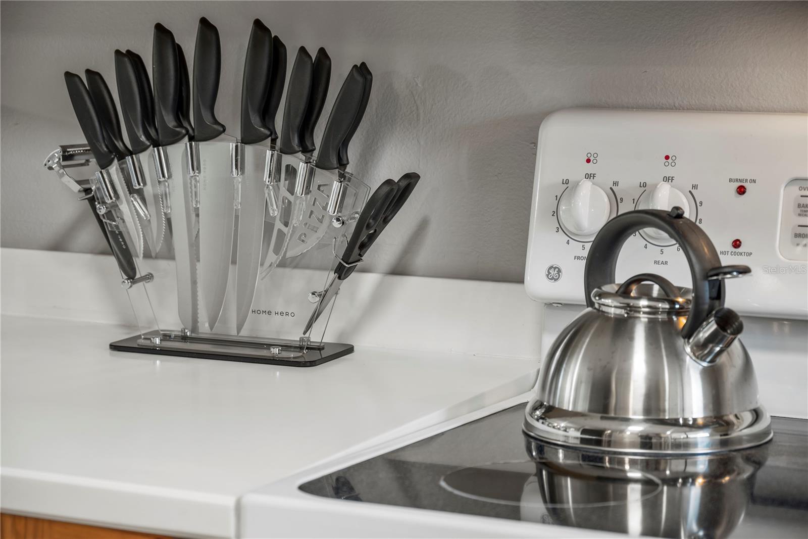 1054 LOTUS COVE CT #623