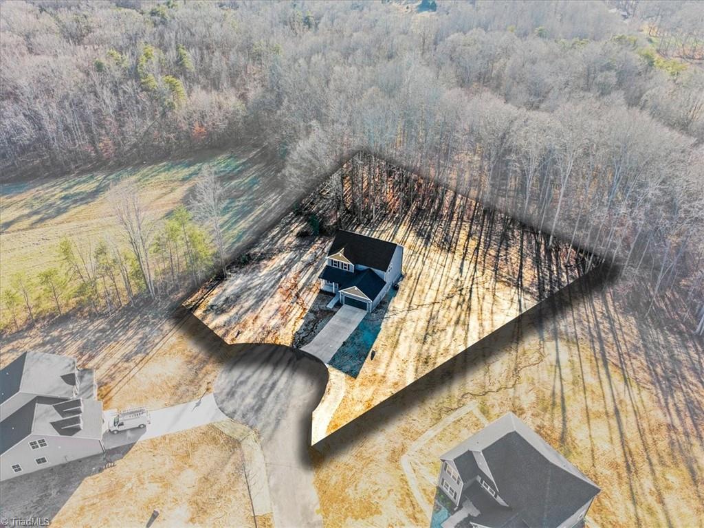 196 Olive Branch Court