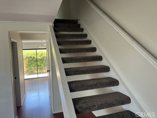 31 Meadowgrass
