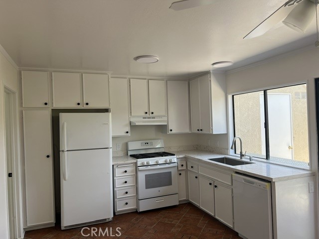 31 Meadowgrass