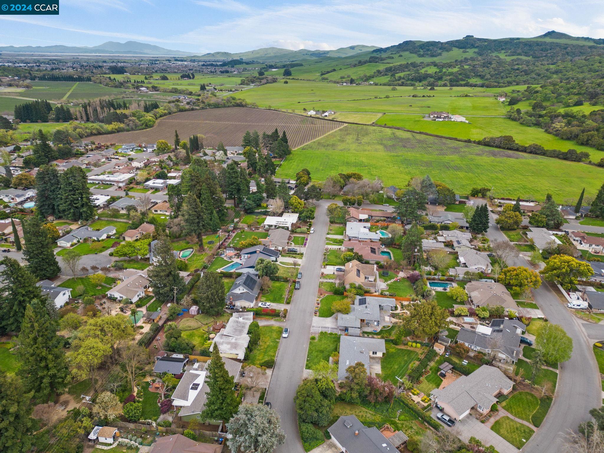 403 Calle Del Caballo St