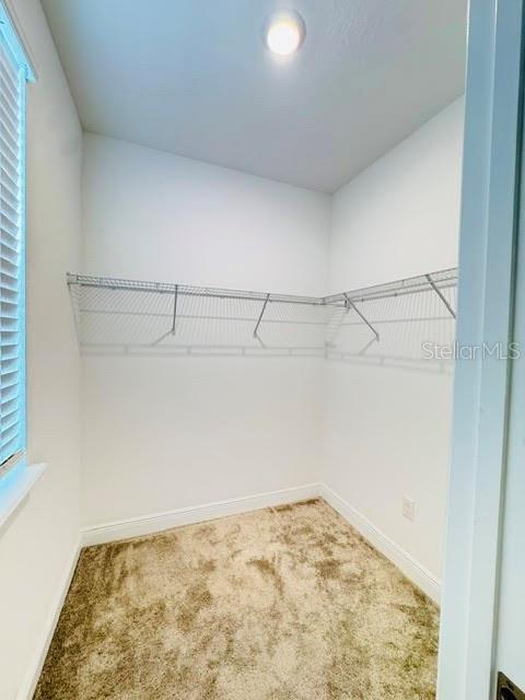 2233 SHADOWLAND LOOP