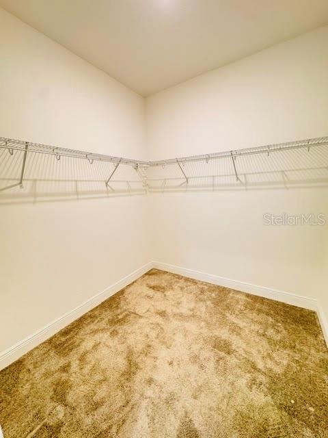 2233 SHADOWLAND LOOP