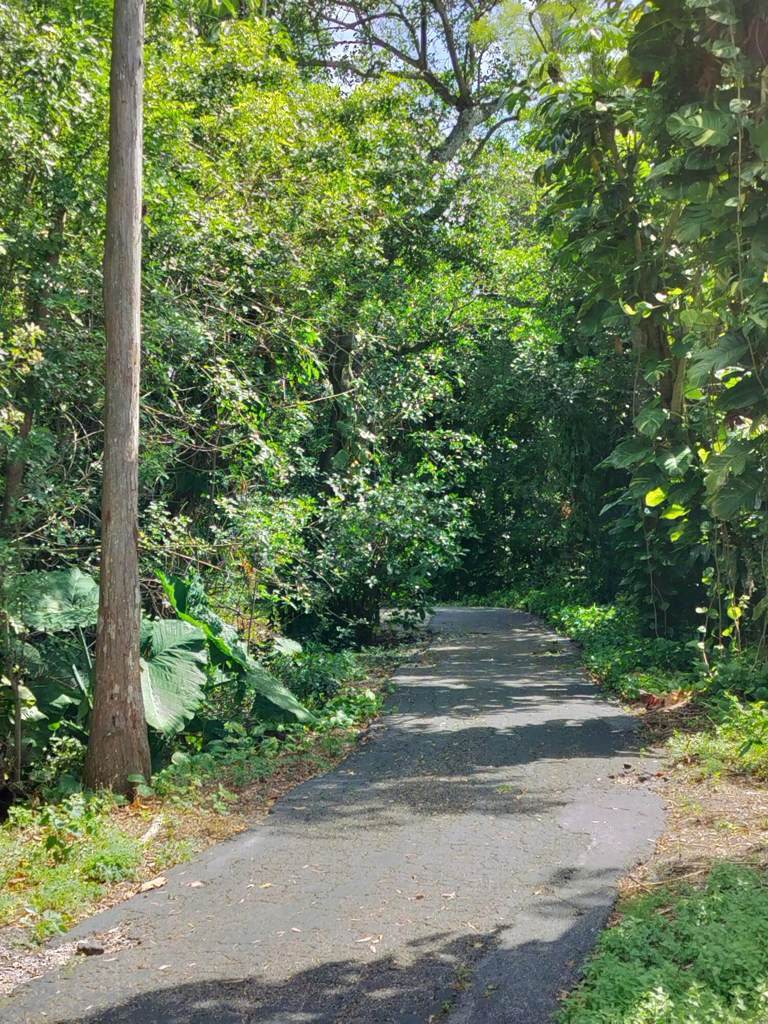 1007 Green Pine Blvd.