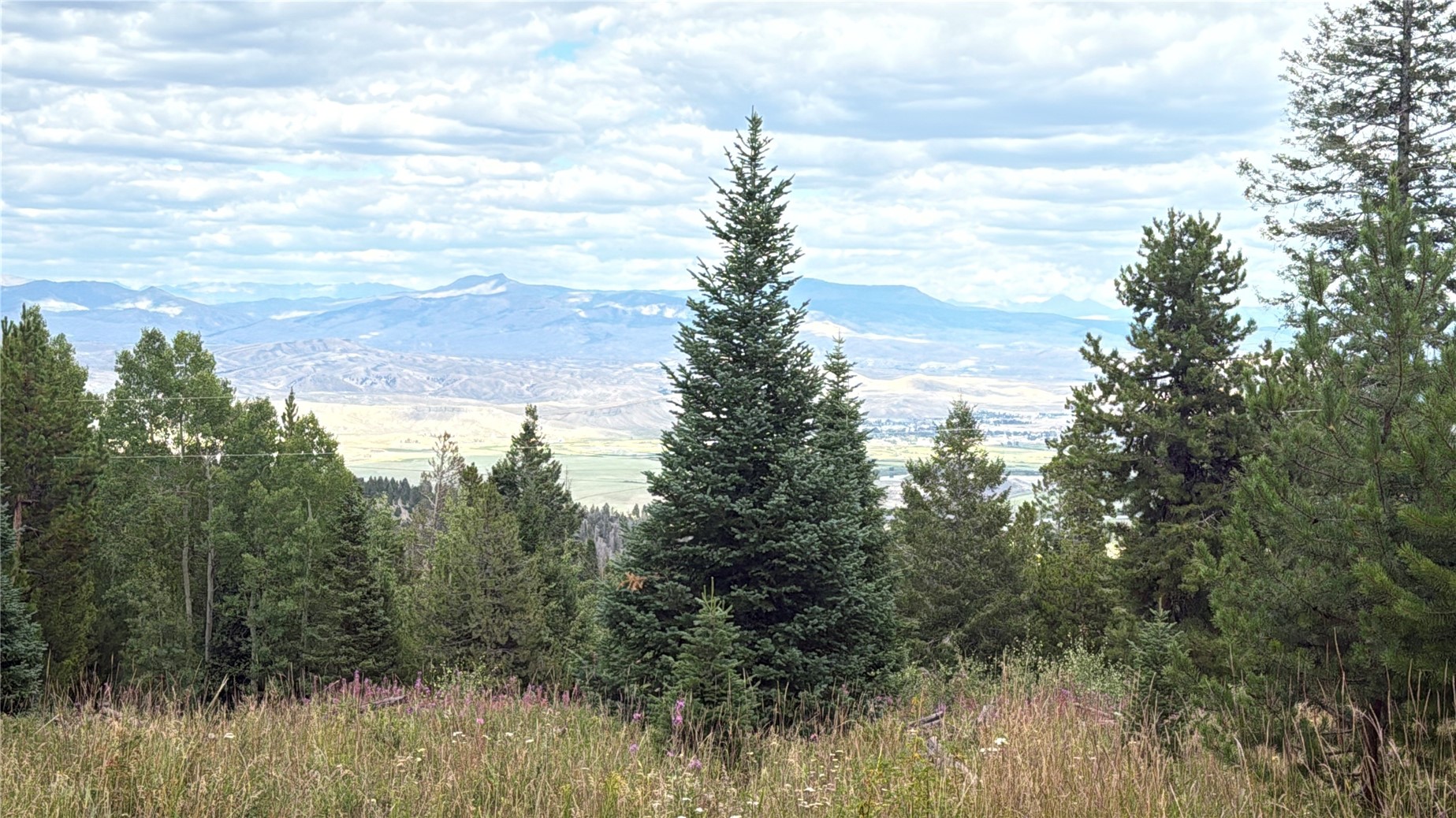 4179 Golden Trail