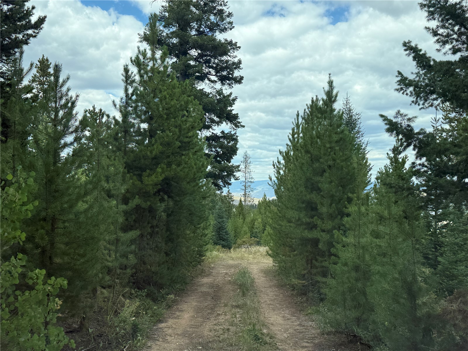 4179 Golden Trail