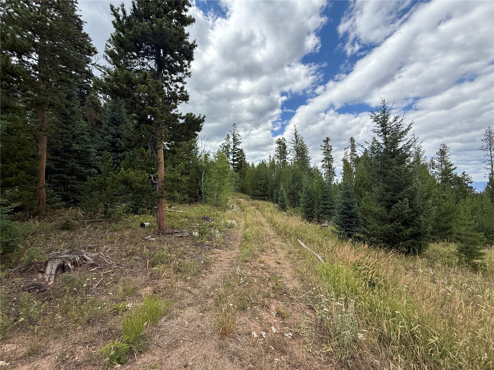 4179 Golden Trail