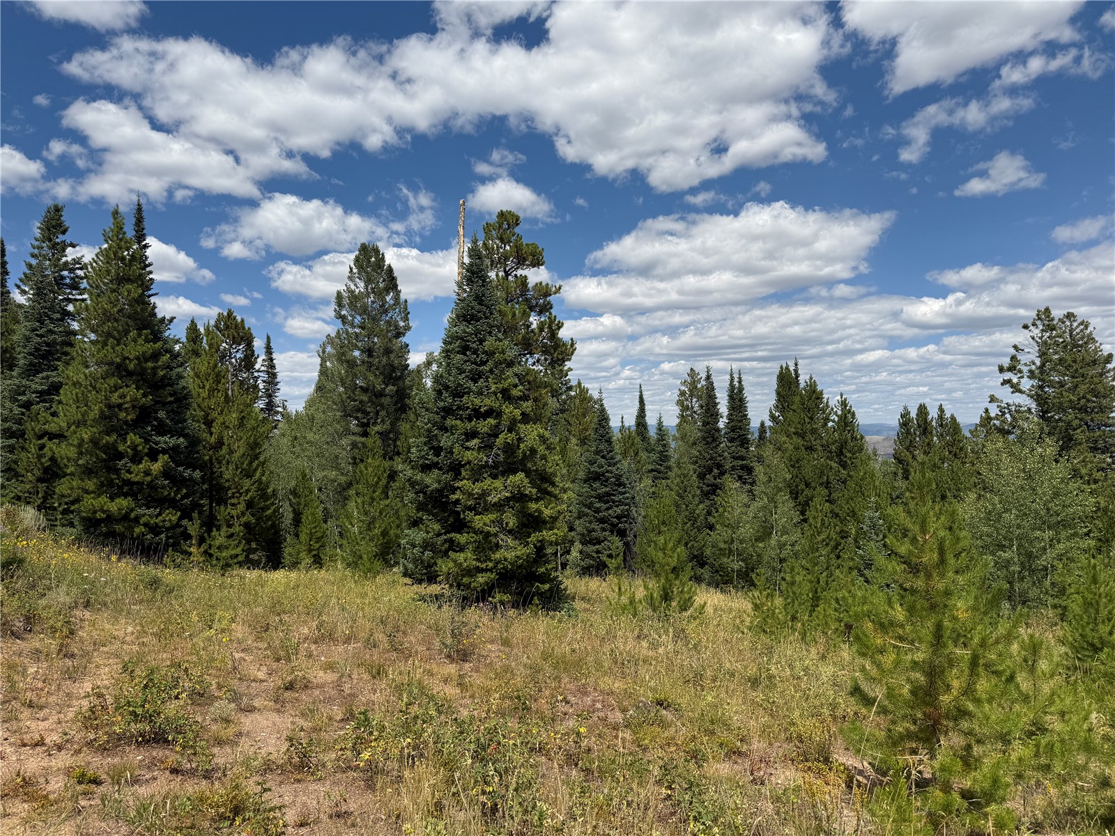 4179 Golden Trail