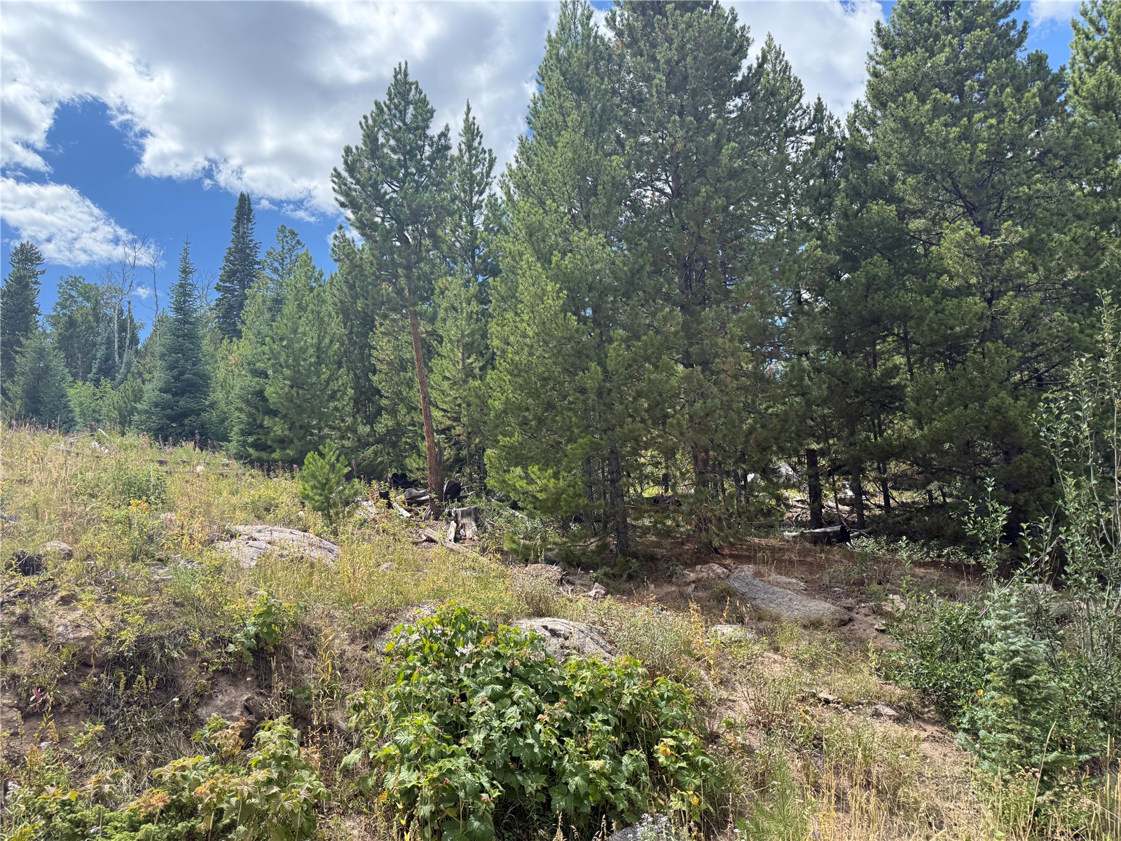 4179 Golden Trail