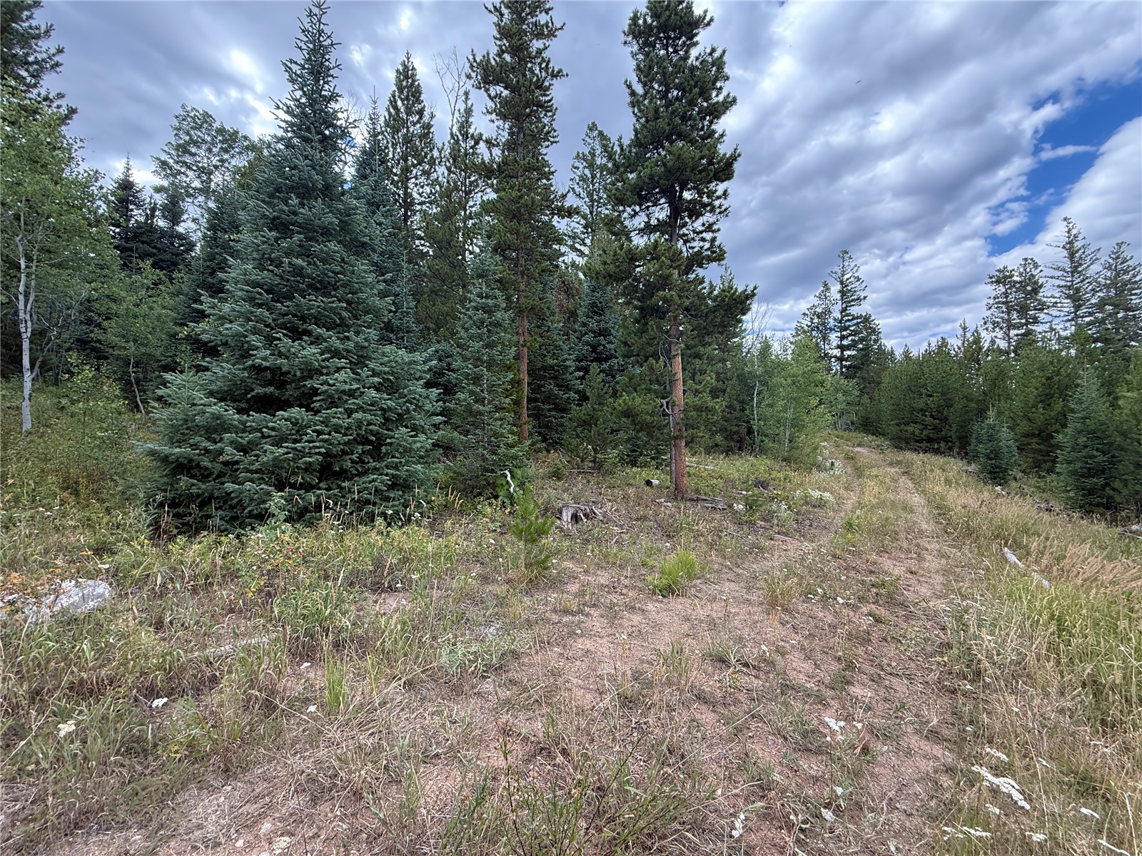4179 Golden Trail