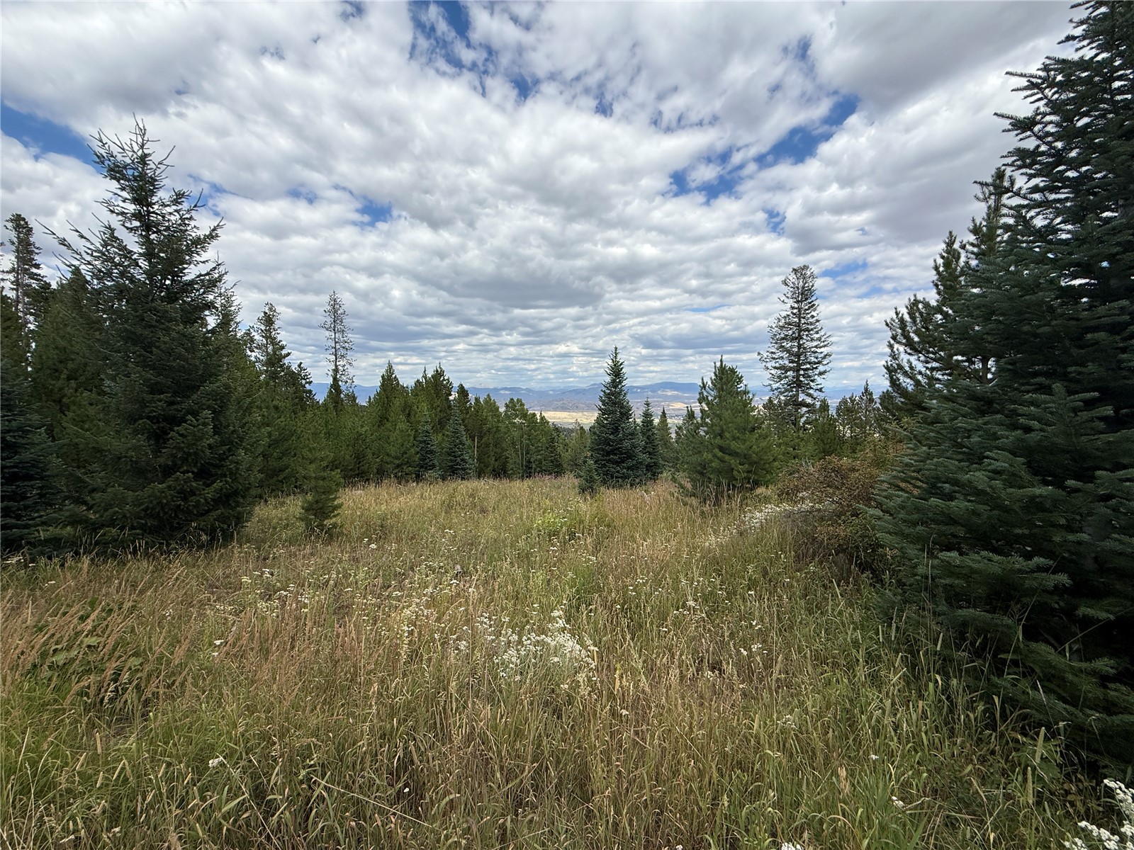 4179 Golden Trail