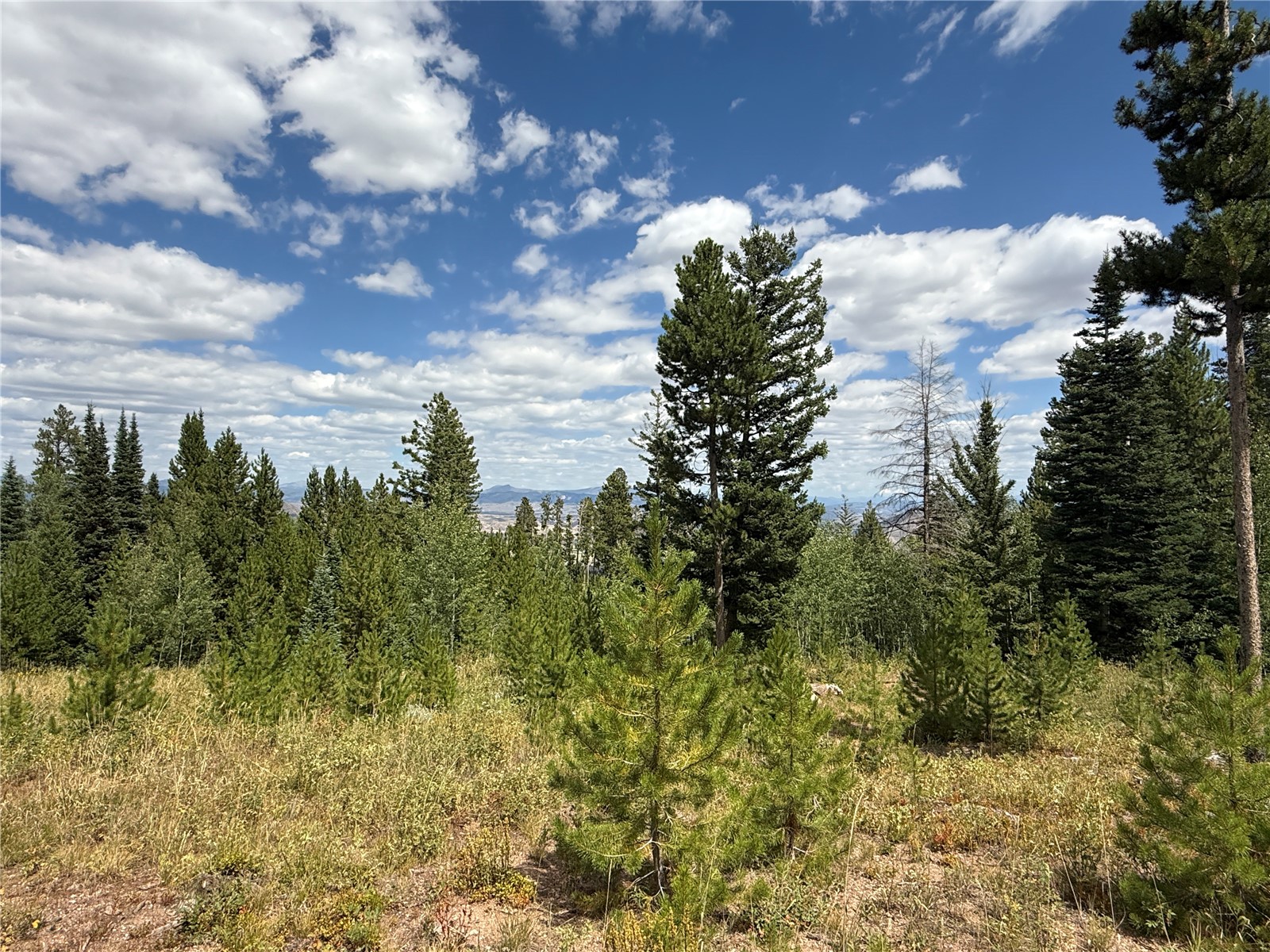 4179 Golden Trail