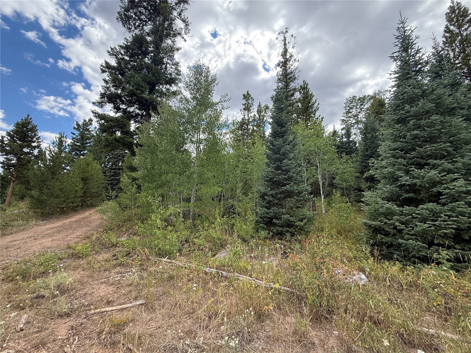 4179 Golden Trail