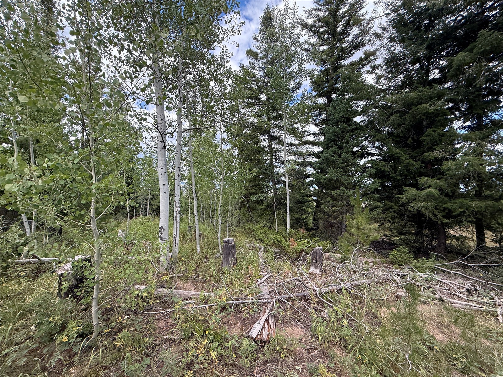 4179 Golden Trail