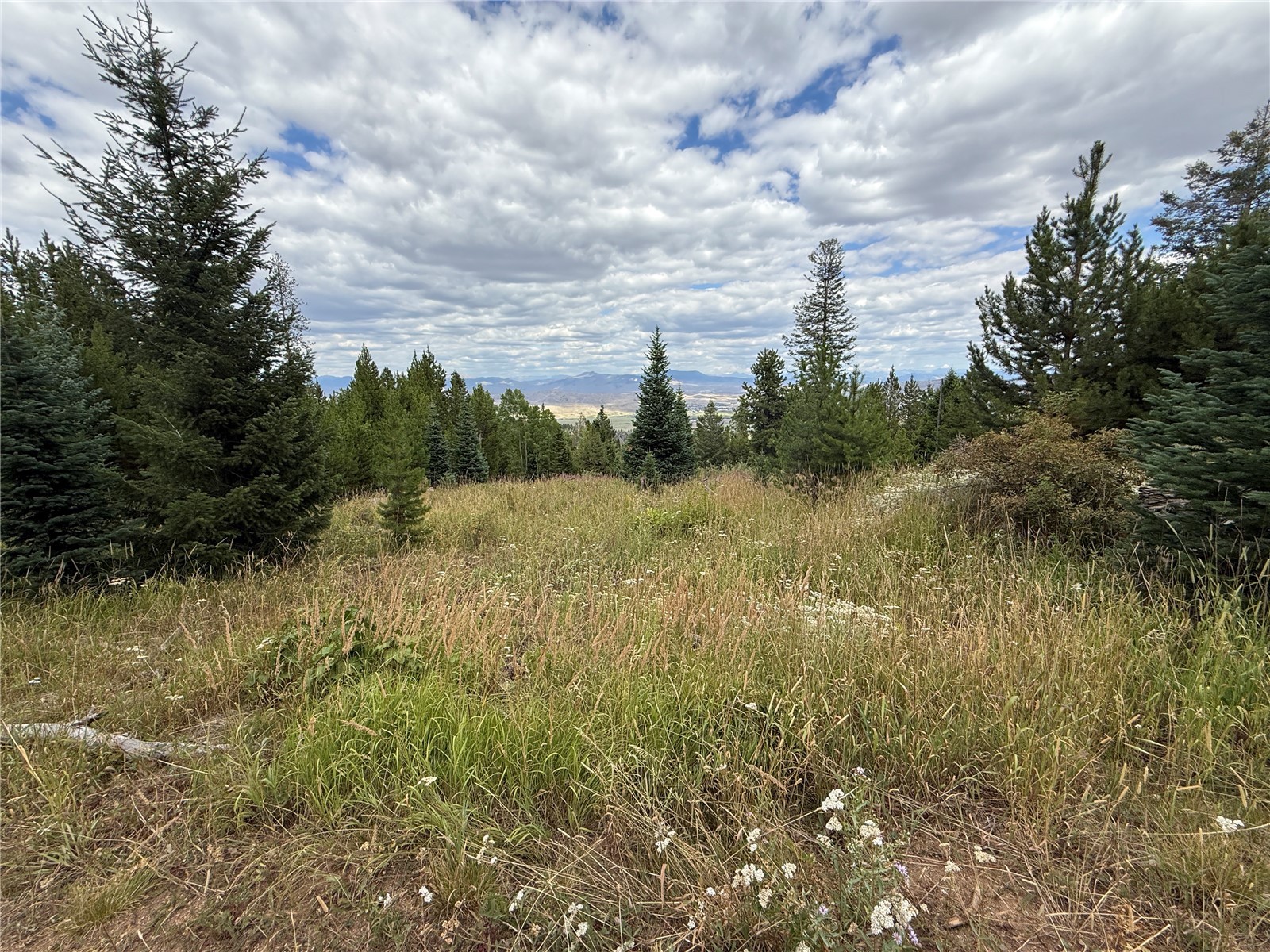 4179 Golden Trail