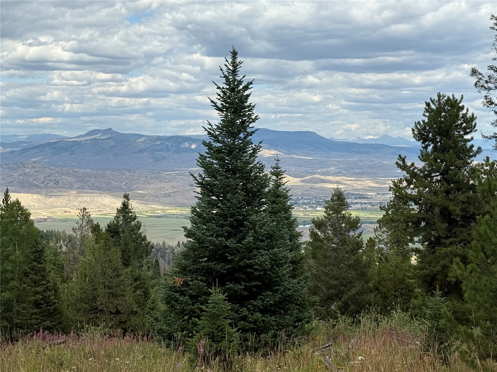 4179 Golden Trail