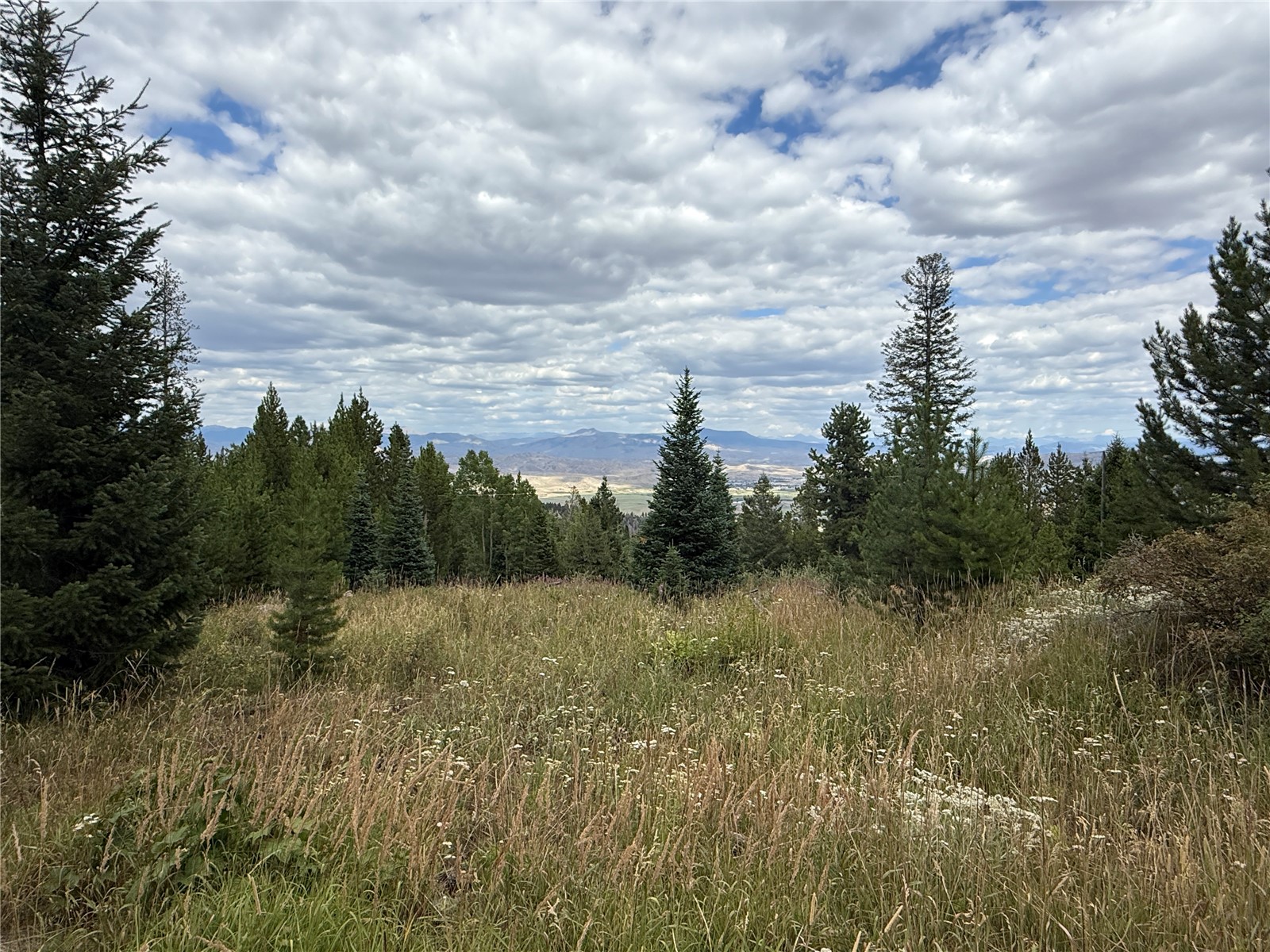 4179 Golden Trail