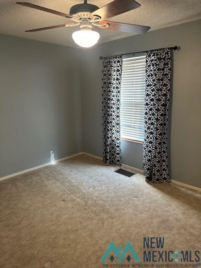 1007 Ocotillo Canyon Drive