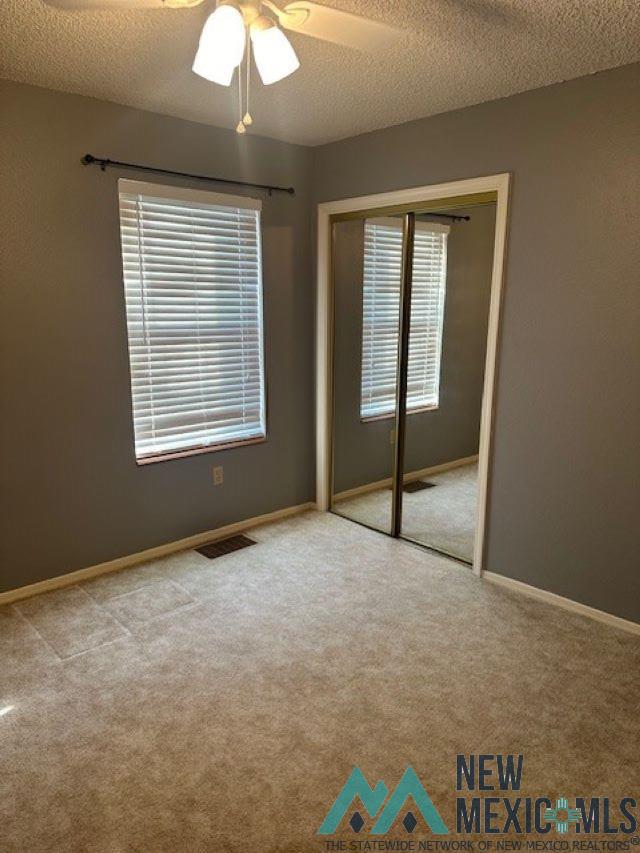 1007 Ocotillo Canyon Drive