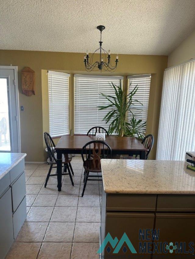 1007 Ocotillo Canyon Drive