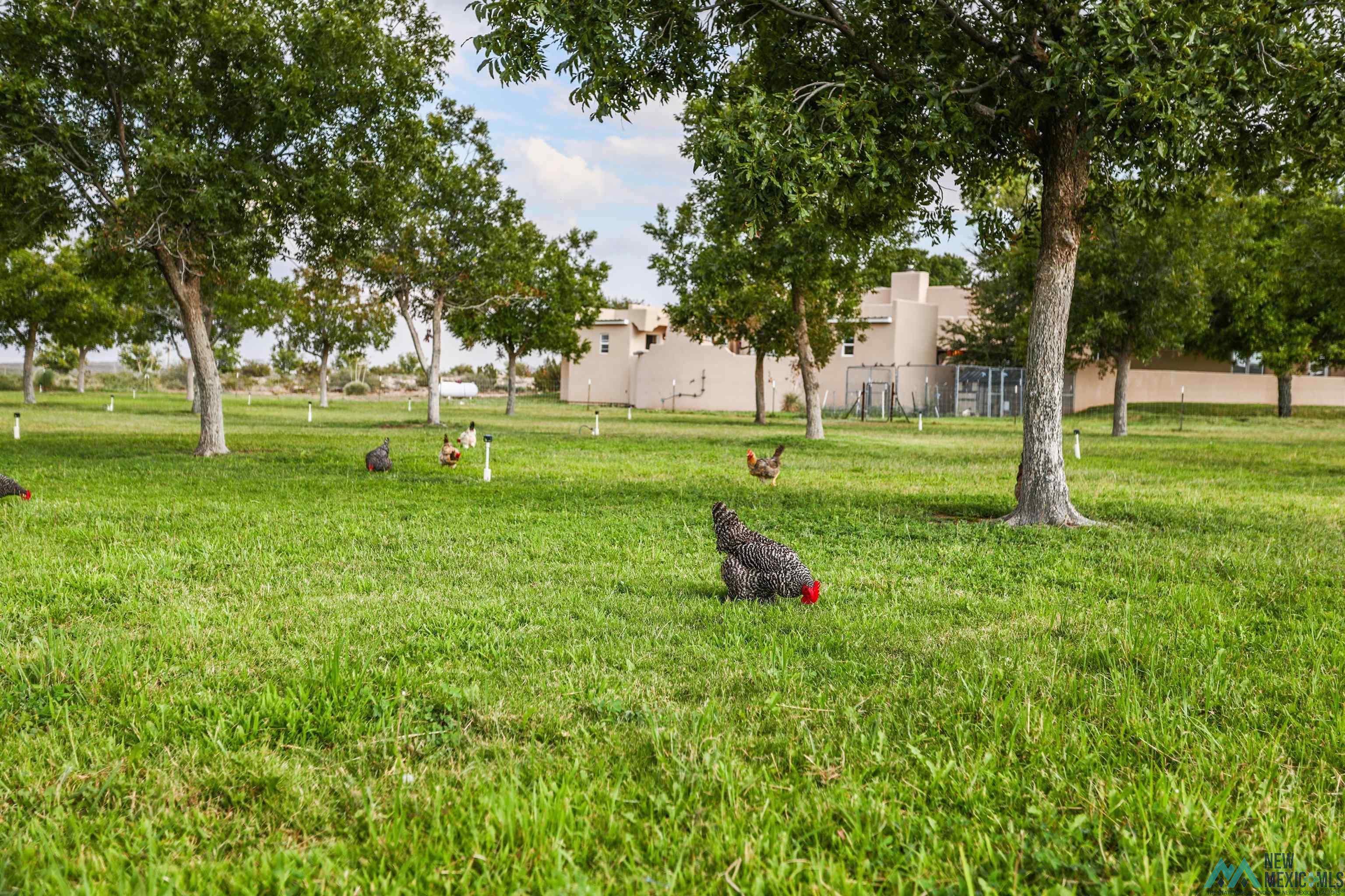 32 Calabaza Draw Lane