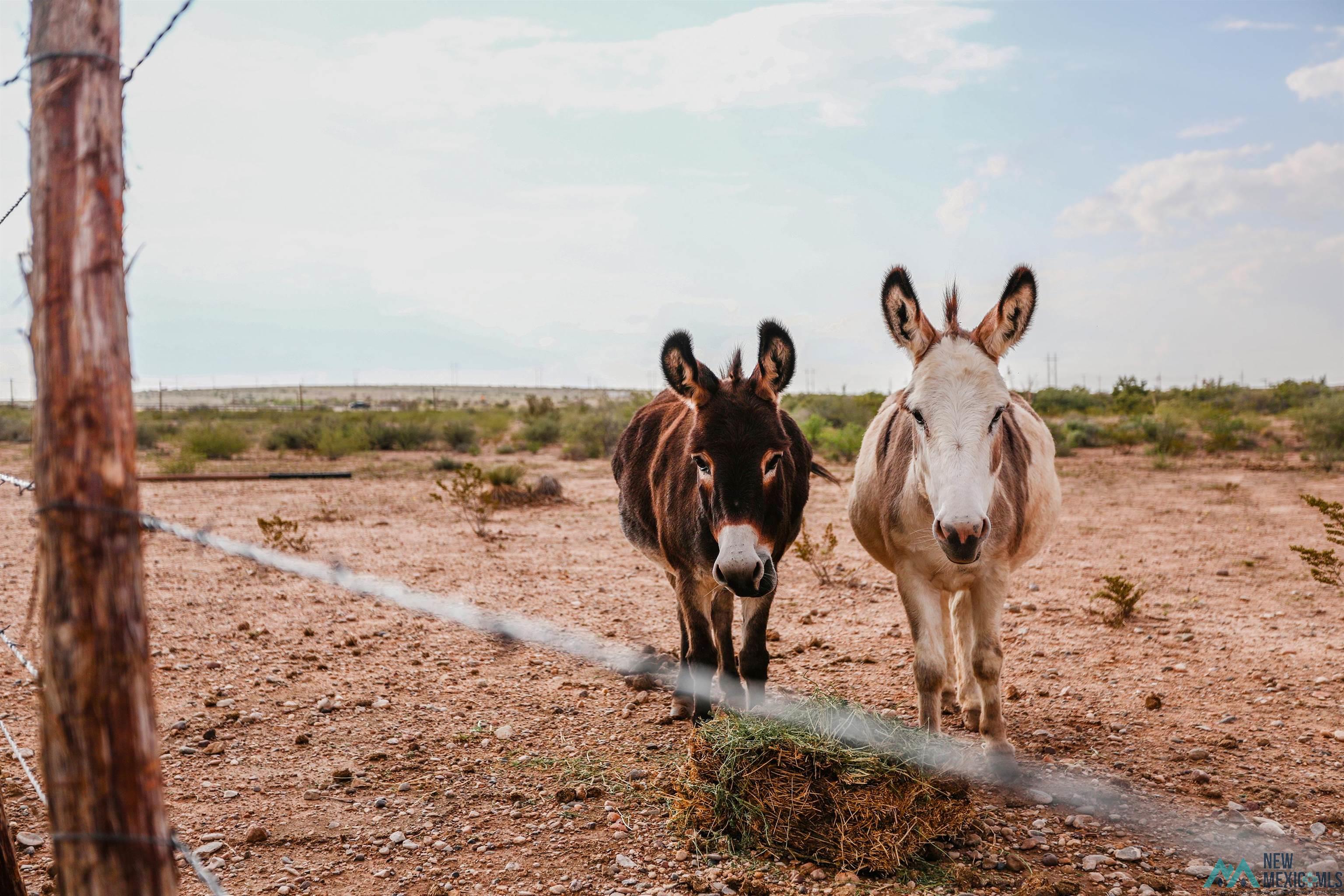 32 Calabaza Draw Lane