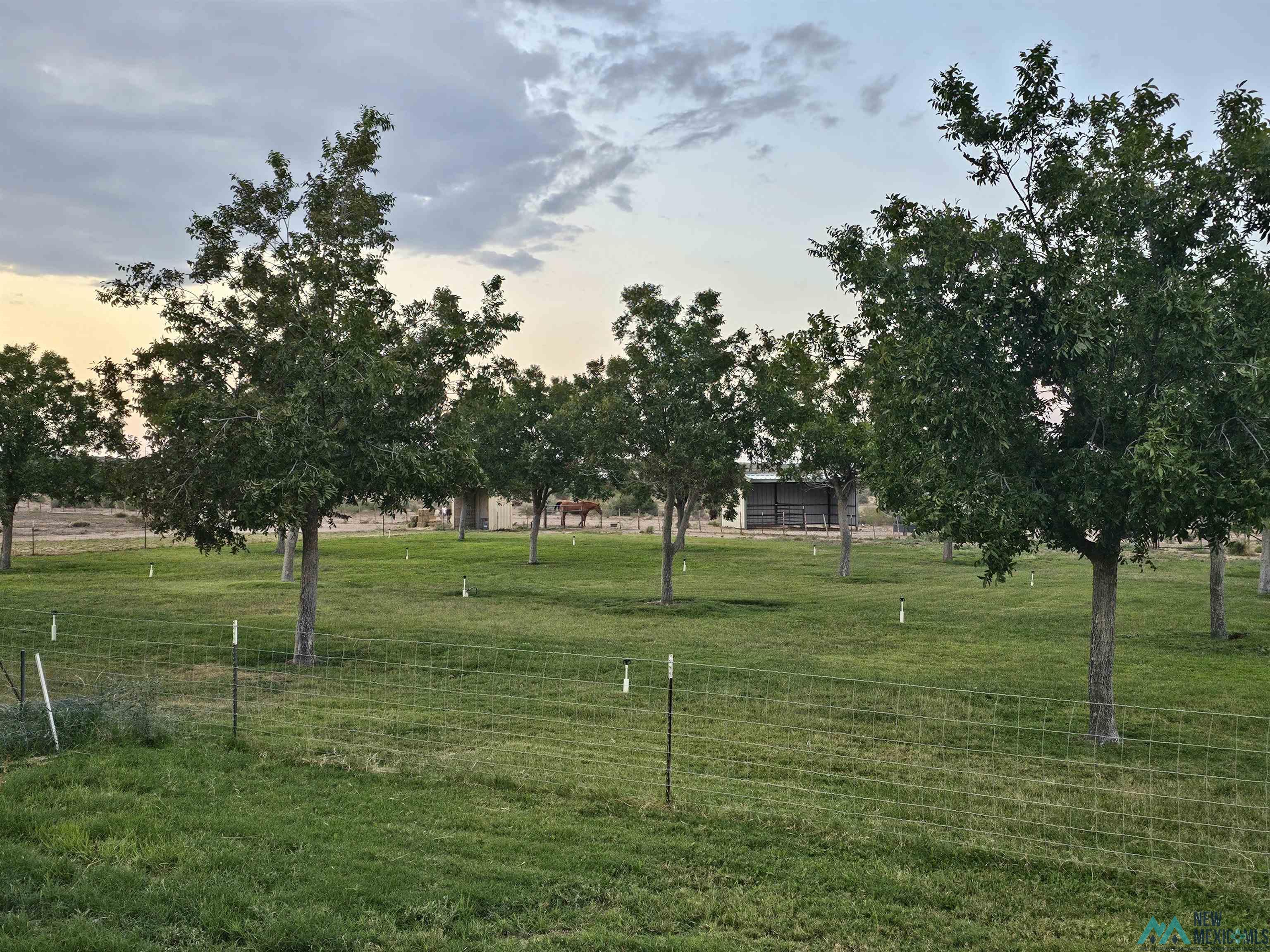 32 Calabaza Draw Lane