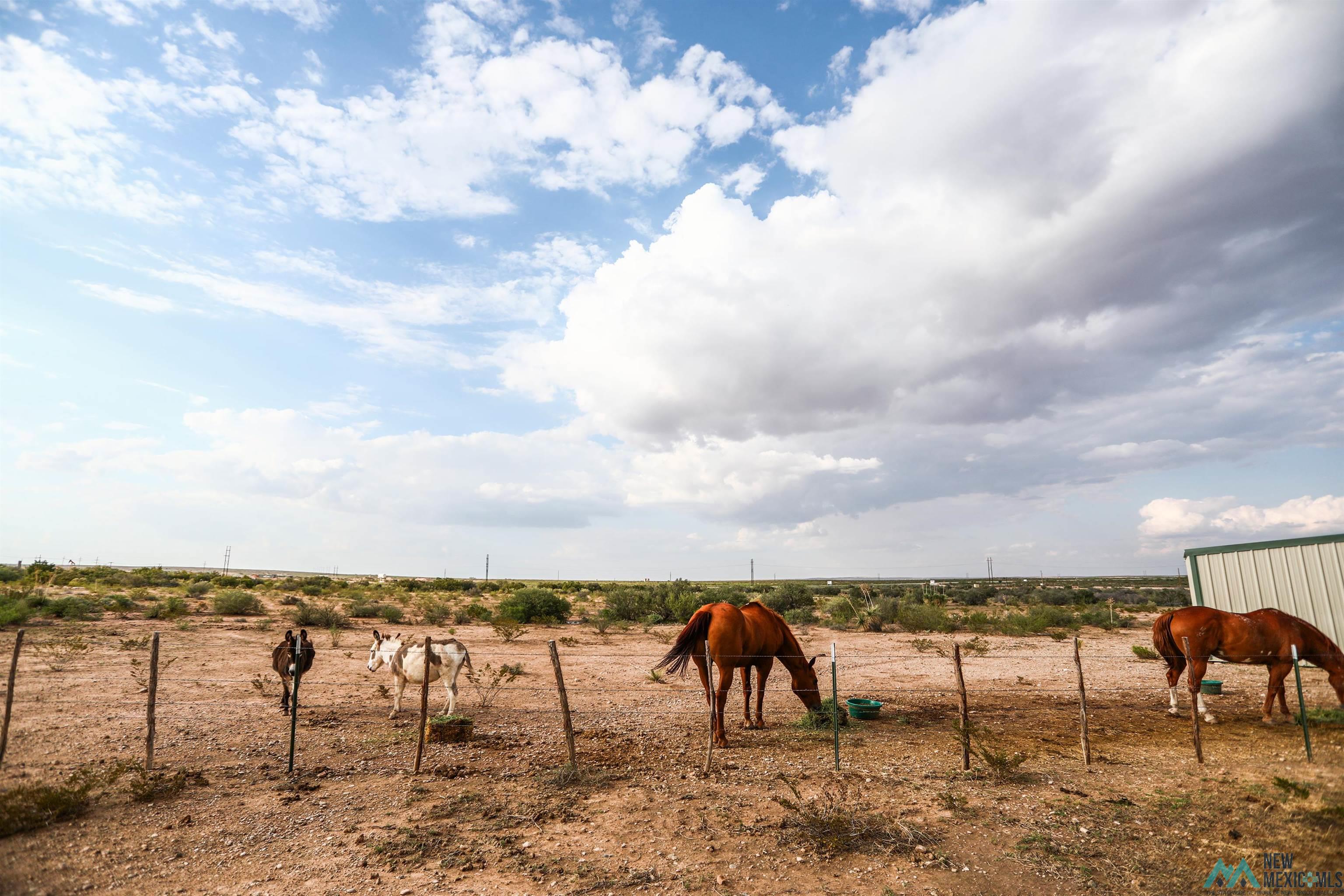 32 Calabaza Draw Lane