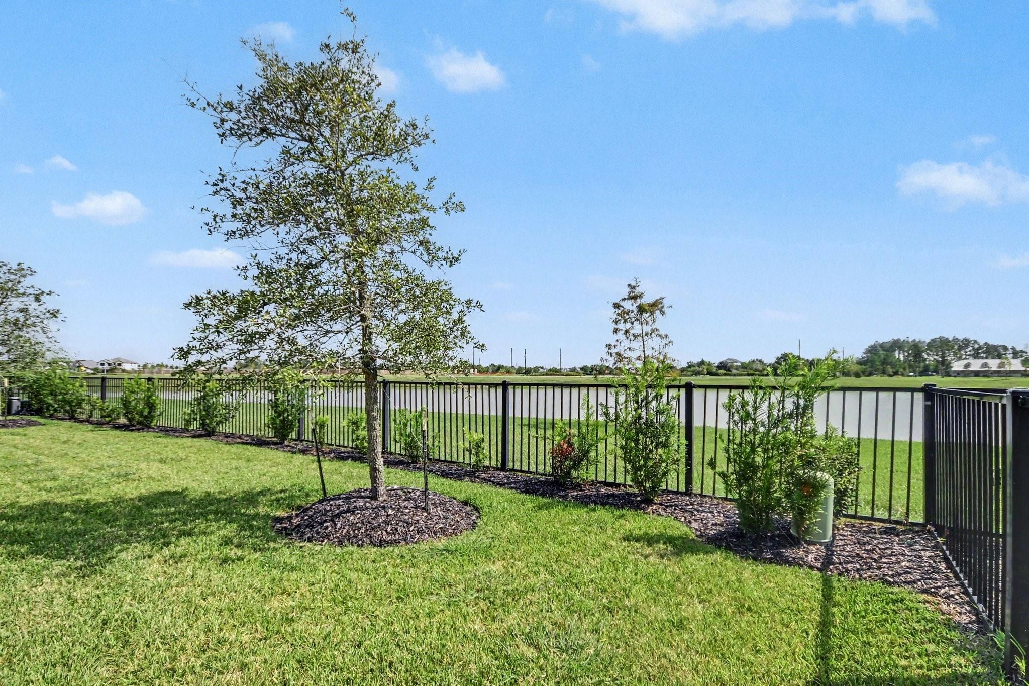 Backyard lawn and landscaping overlook a pond beyond a black metal fence.
