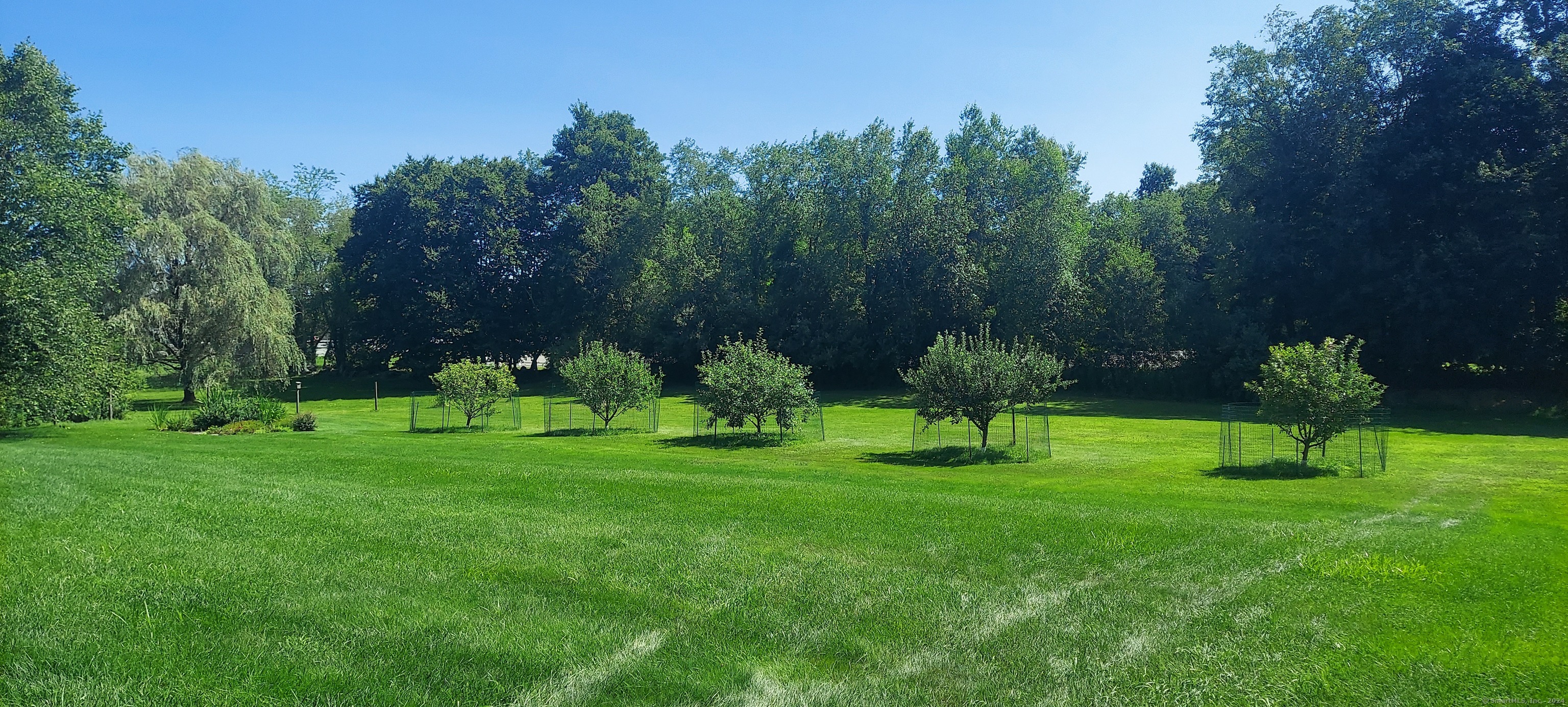 360 West Morris Road
