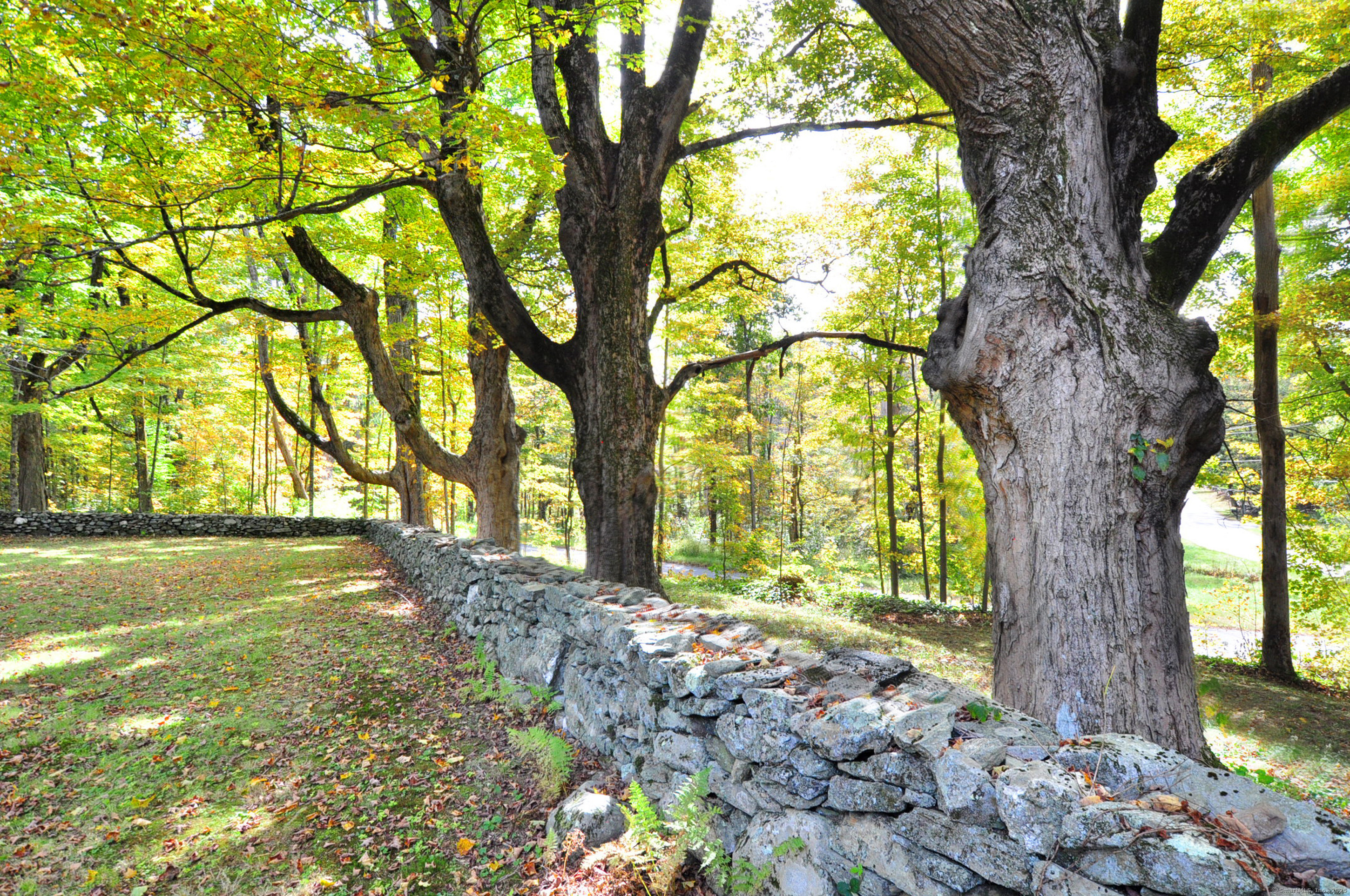 182 East Litchfield Road