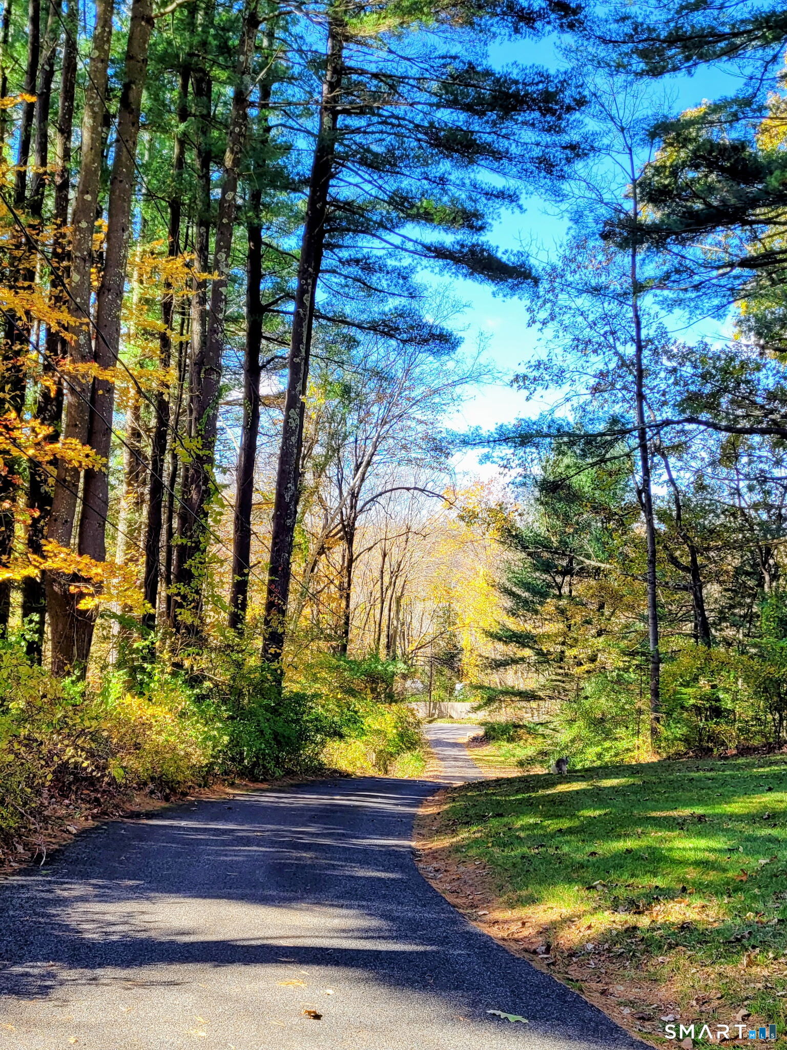 254 Aspetuck Ridge Road