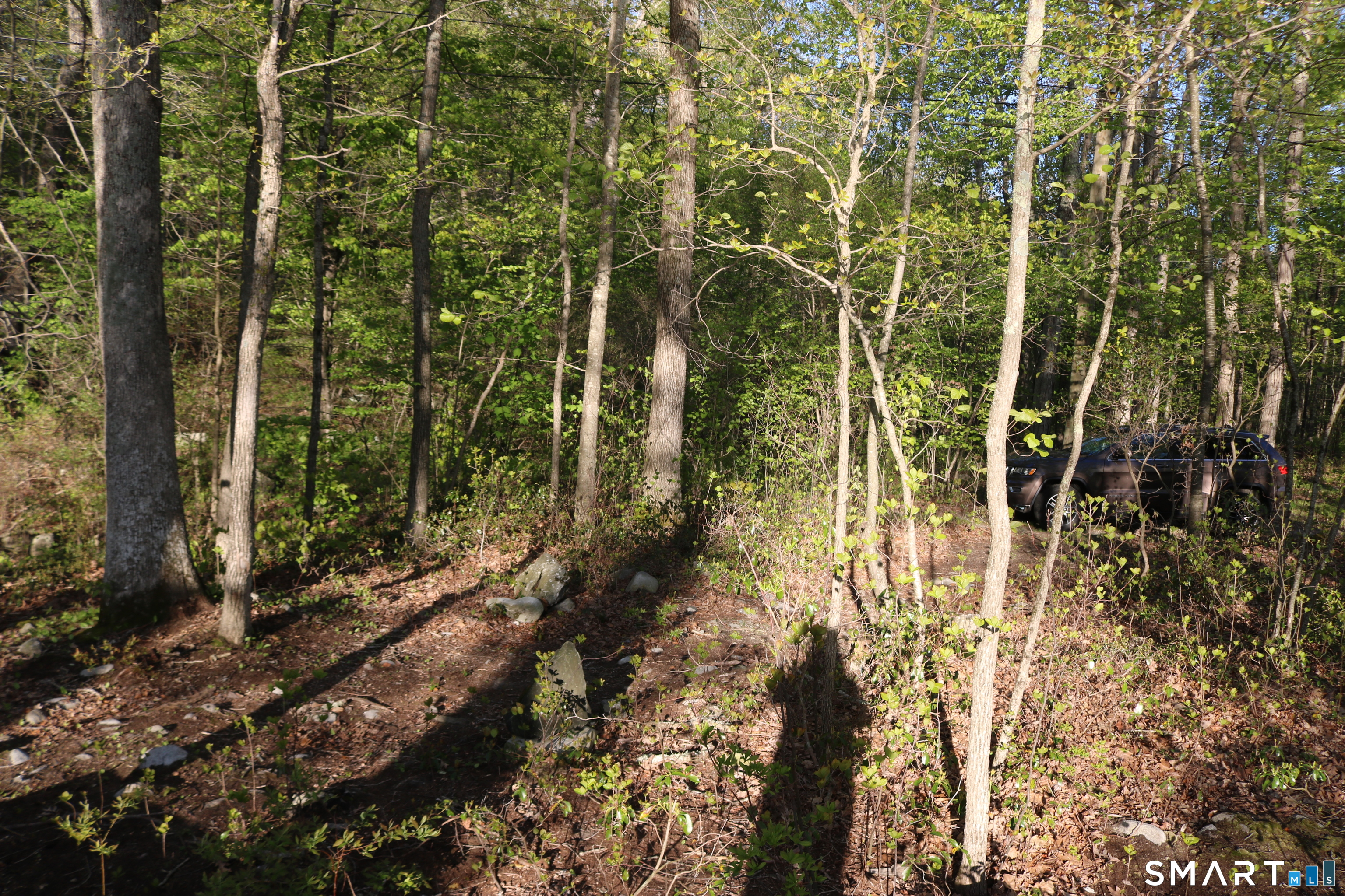 00 Mt. Tom Passway