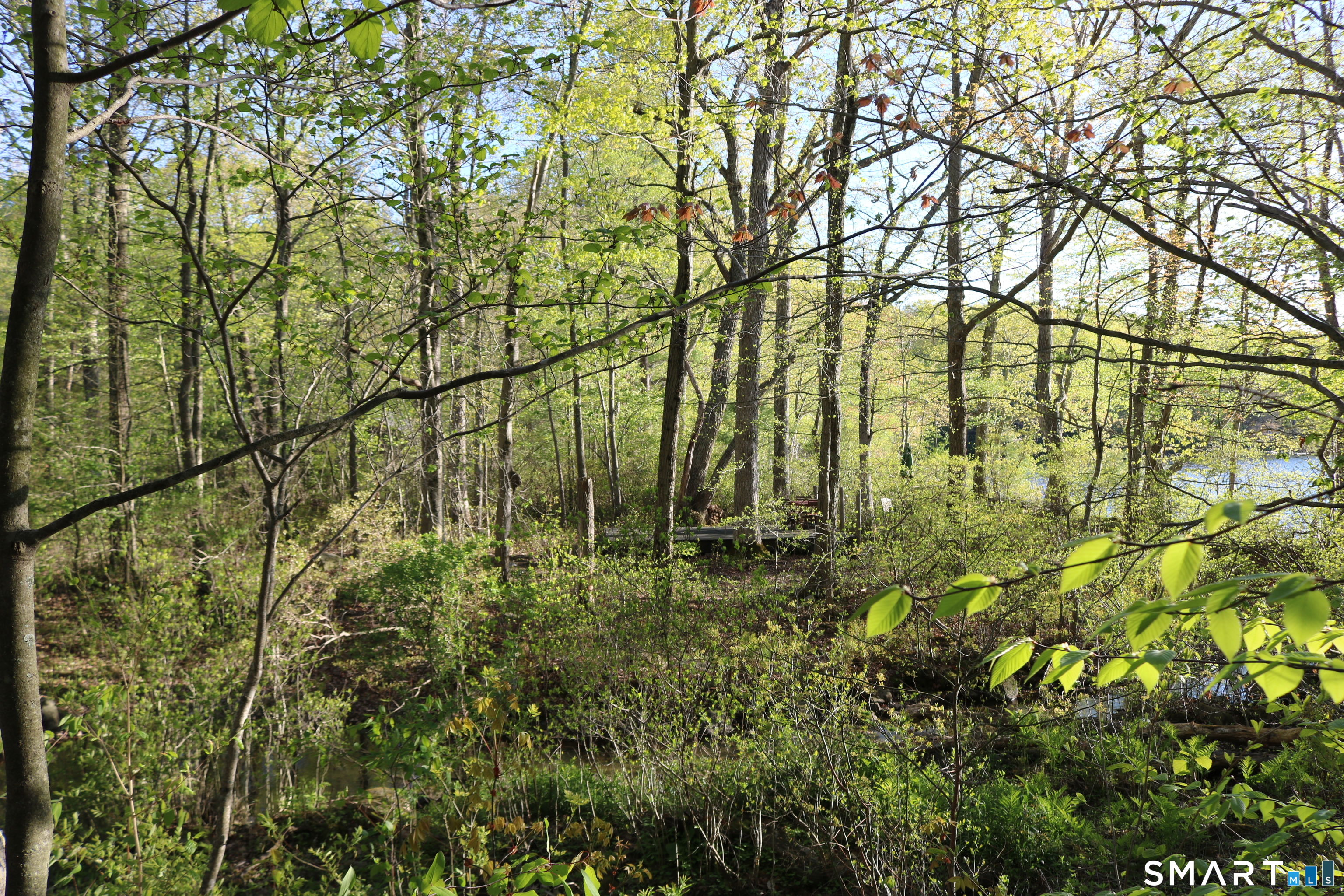 00 Mt. Tom Passway