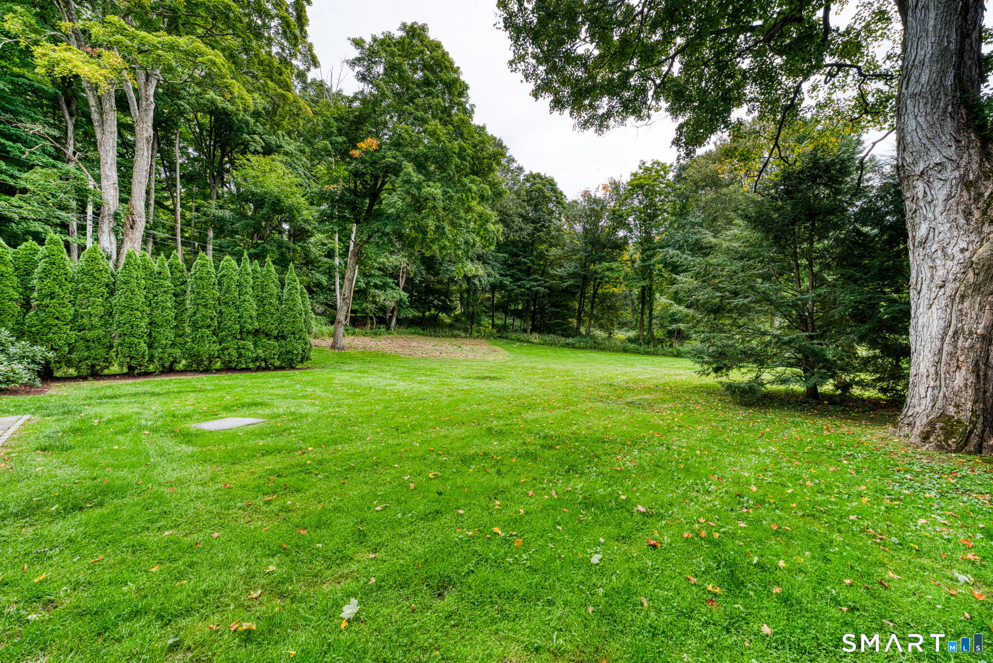 6 Pitch Road